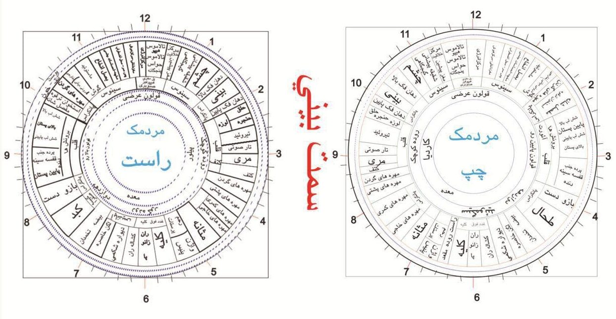 چارت فارسی علم ایریدولوژی